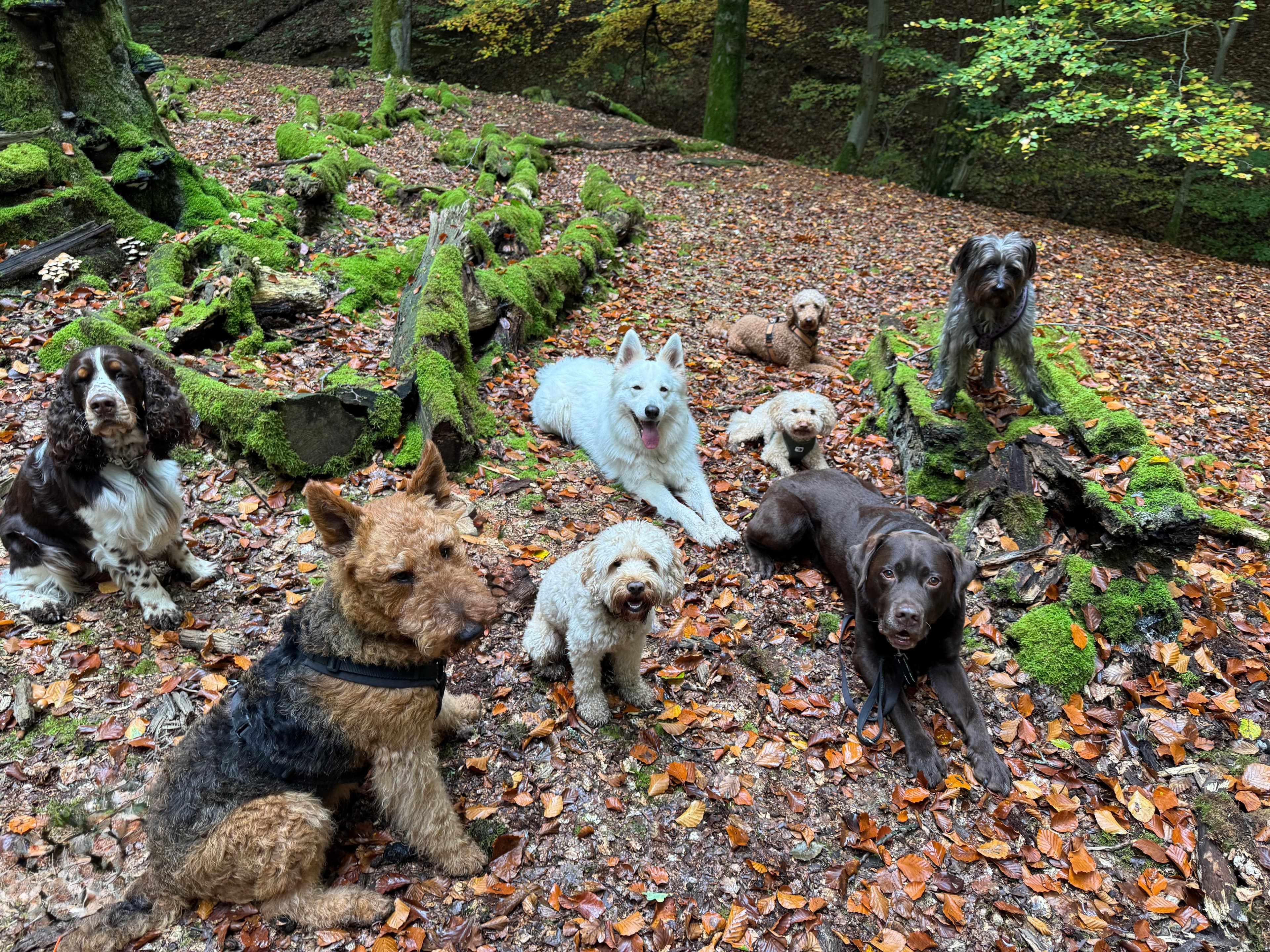 Header Flexible Tagesbetreuung